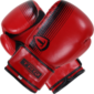 Adult Boxing Gloves